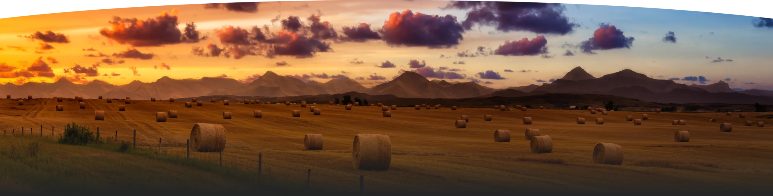 Field full of bales with mountains in background